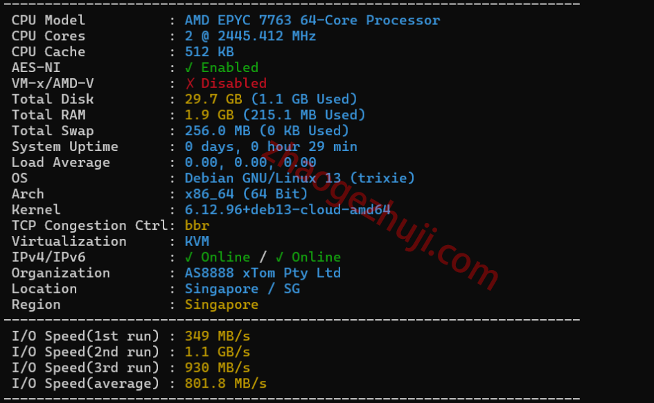 新加坡VPS AMD EPYC 7763基础配置与Bench.sh测速结果