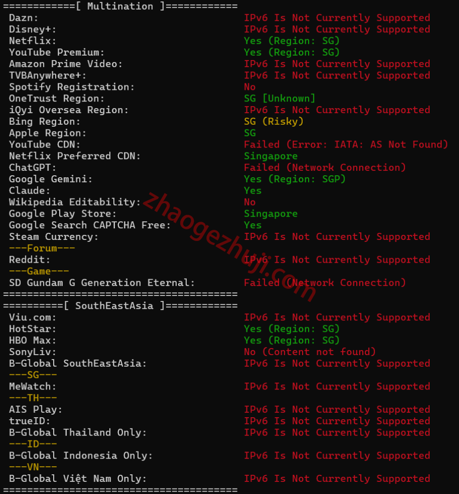 新加坡VPS IPv6 Netflix、YouTube和AI服务解锁结果